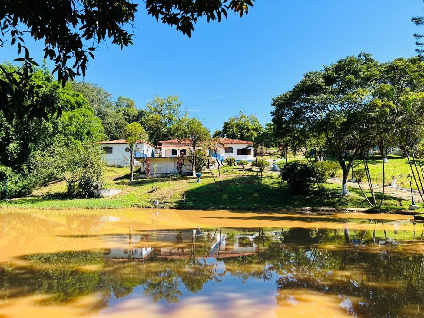 Fazenda, 24 hectares - Foto 5