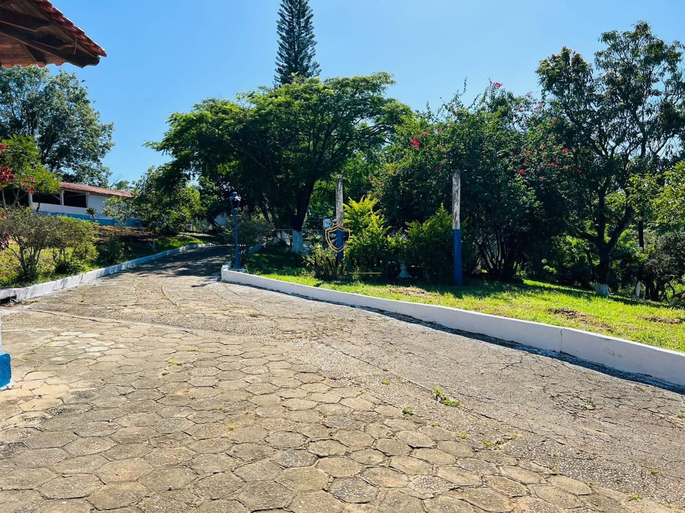 Fazenda, 24 hectares - Foto 8