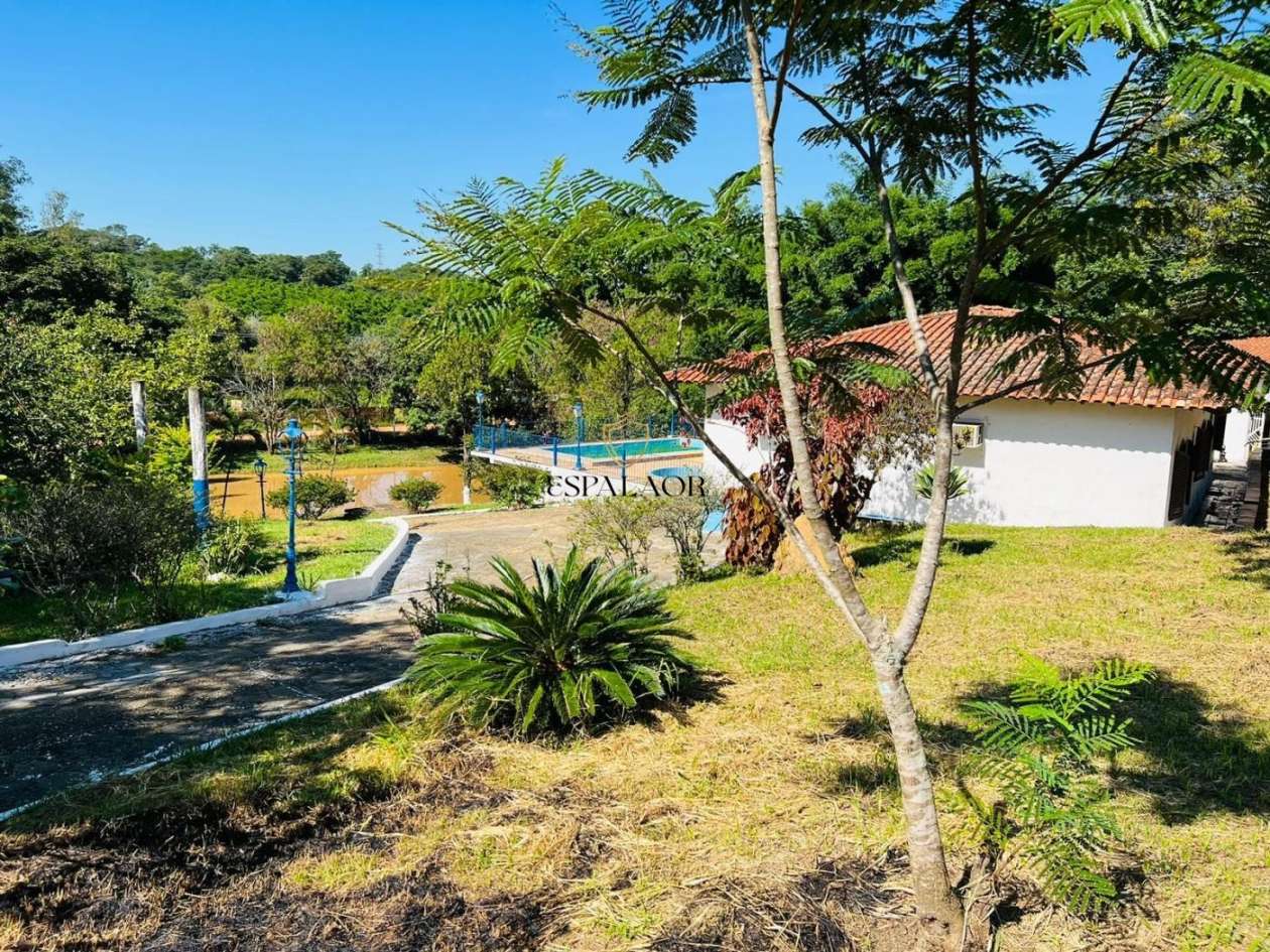 Fazenda, 24 hectares - Foto 11