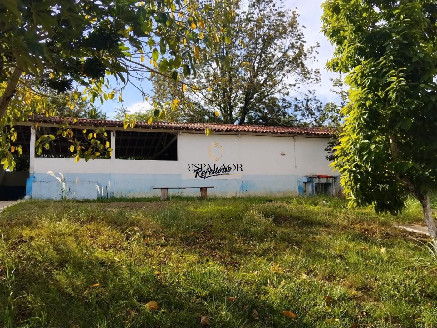 Fazenda, 24 hectares - Foto 13