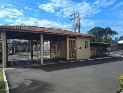 imagem-miniatura